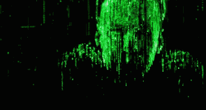 6.gif