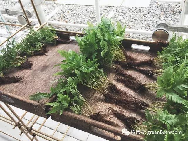 1502074447.jpg 1502074447.jpg