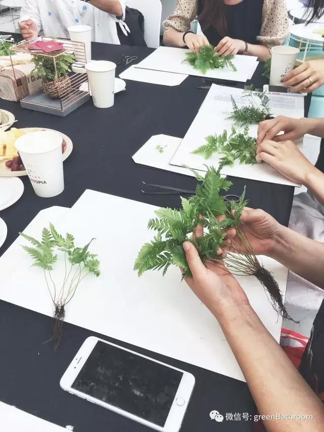 1502074577.jpg 1502074577.jpg