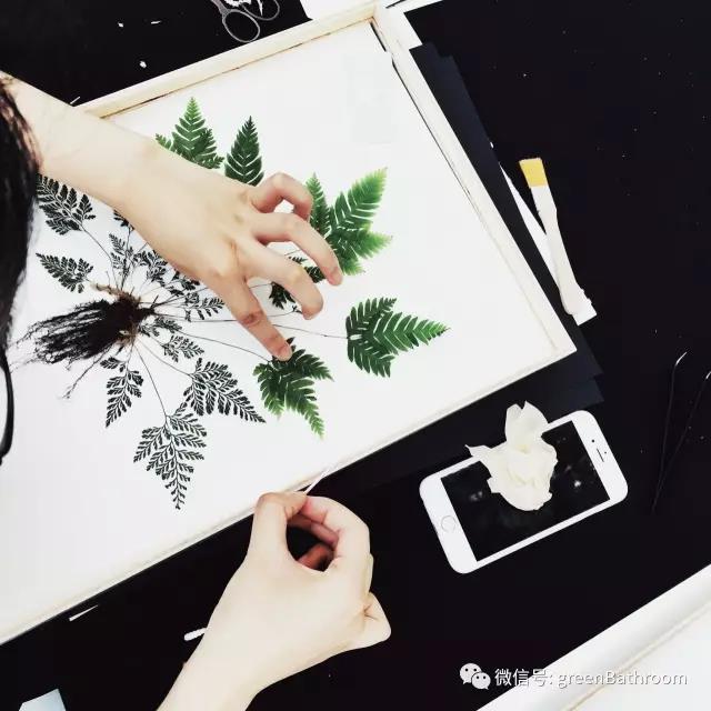 1502074771.jpg 1502074771.jpg