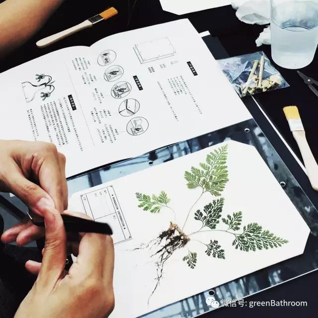 1502074792.jpg 1502074792.jpg