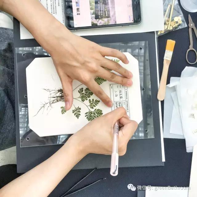 1502074825.jpg 1502074825.jpg