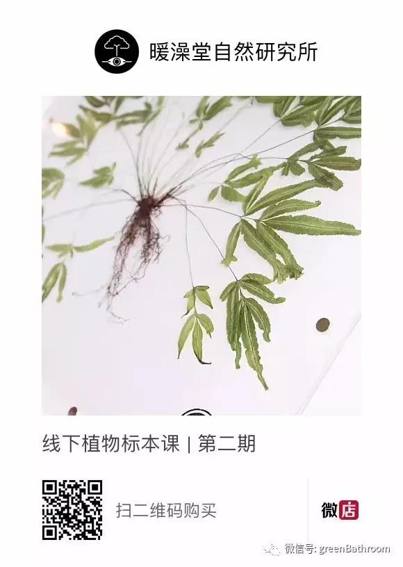 1502075109.jpg 1502075109.jpg