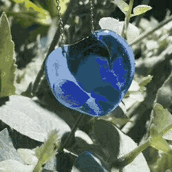 13.gif